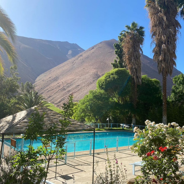 CABAÑAS PISCO ELQUI