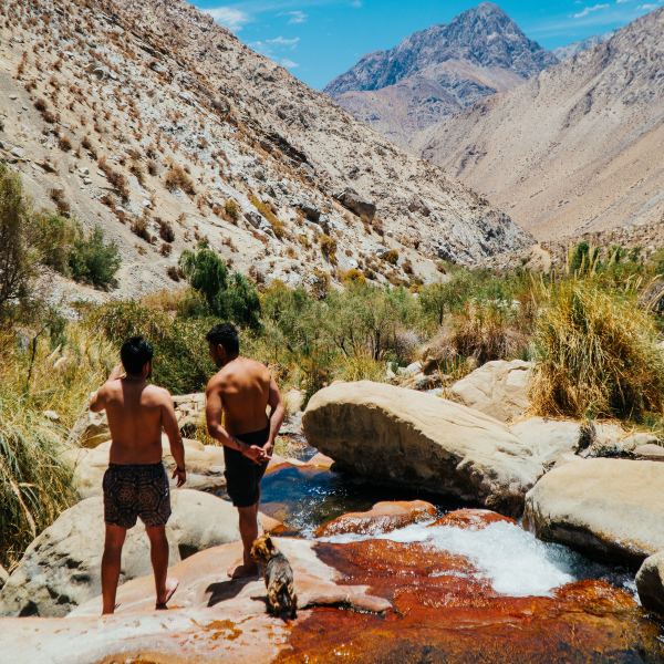 CAMPING COCHIGUAZ