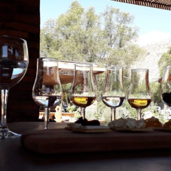 LA RUTA DEL PISCO CHILE